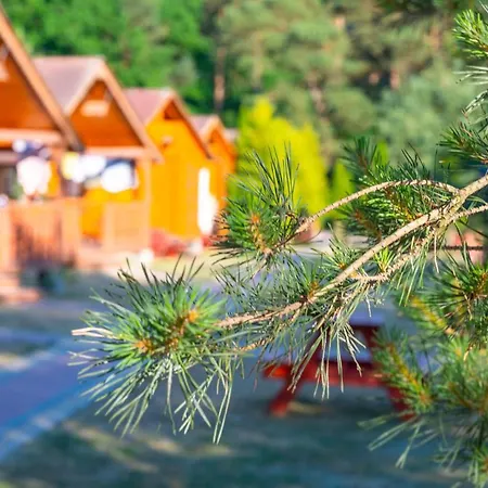 Letniskowe I Savana Nad Morzem 3*